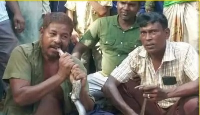 সাপ ধরতে সাপের কামড়ে সাপুড়ের মৃত্যু: খেয়ে ফেললেন সেই সাপ আরেক সাপুড়ে