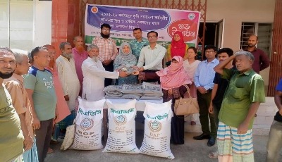 কাউনিয়ায় বিনামূল্যে মাসকলাই বীজ ও সার বিতরণ