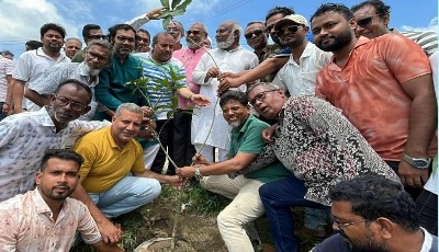 নওগাঁয় বিএনপির উদ্যোগে বৃক্ষরোপন