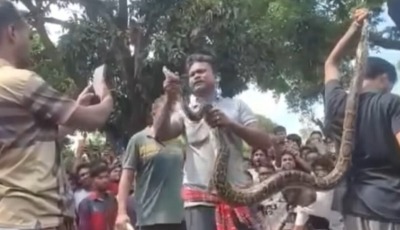 কুড়িগ্রামের আগমনী বাজারে ১০ ফুট অজগর সাপ উদ্ধার: জনমনে আতঙ্ক