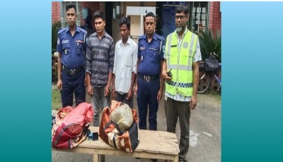 কাউনিয়ায় গাঁজাসহ ২ মাদক ব্যবসায়ী গ্রেফতার