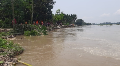 কুড়িগ্রামে উজানের ঢলে হু হু করে বাড়ছে তিস্তার পানি: প্লাবিত হচ্ছে চর-দ্বীপচর