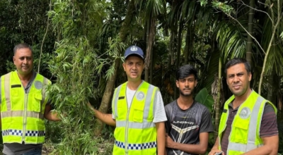 ভূরুঙ্গামারীতে নেট হাউজে গাঁজা চাষ