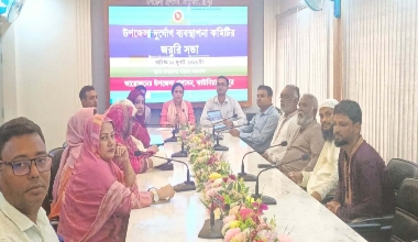 কাউনিয়ায় দুর্যোগ মোকাবেলায় দুর্যোগ ব্যবস্থাপনা কমিটির সভা