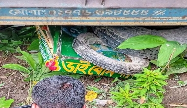 ডোমারে সড়ক দুর্ঘটনায় একই পরিবারের ৩ জনসহ নিহত ৪