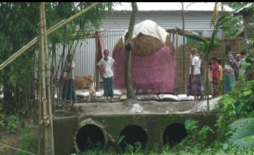 ভূরুঙ্গামারীতে কালভার্টের মুখ বন্ধ করে জলাবদ্ধতা উপজেলা বিএনপি’র হস্তক্ষেপে শান্তিপূর্ণ সমাধান