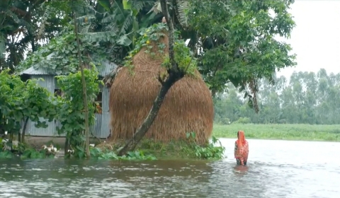 ইউএনওর অবহেলায় ফেরত গেল টিসিবির চাল; খাদ্যগুদামে আটকা বানভাসীদের চাল
